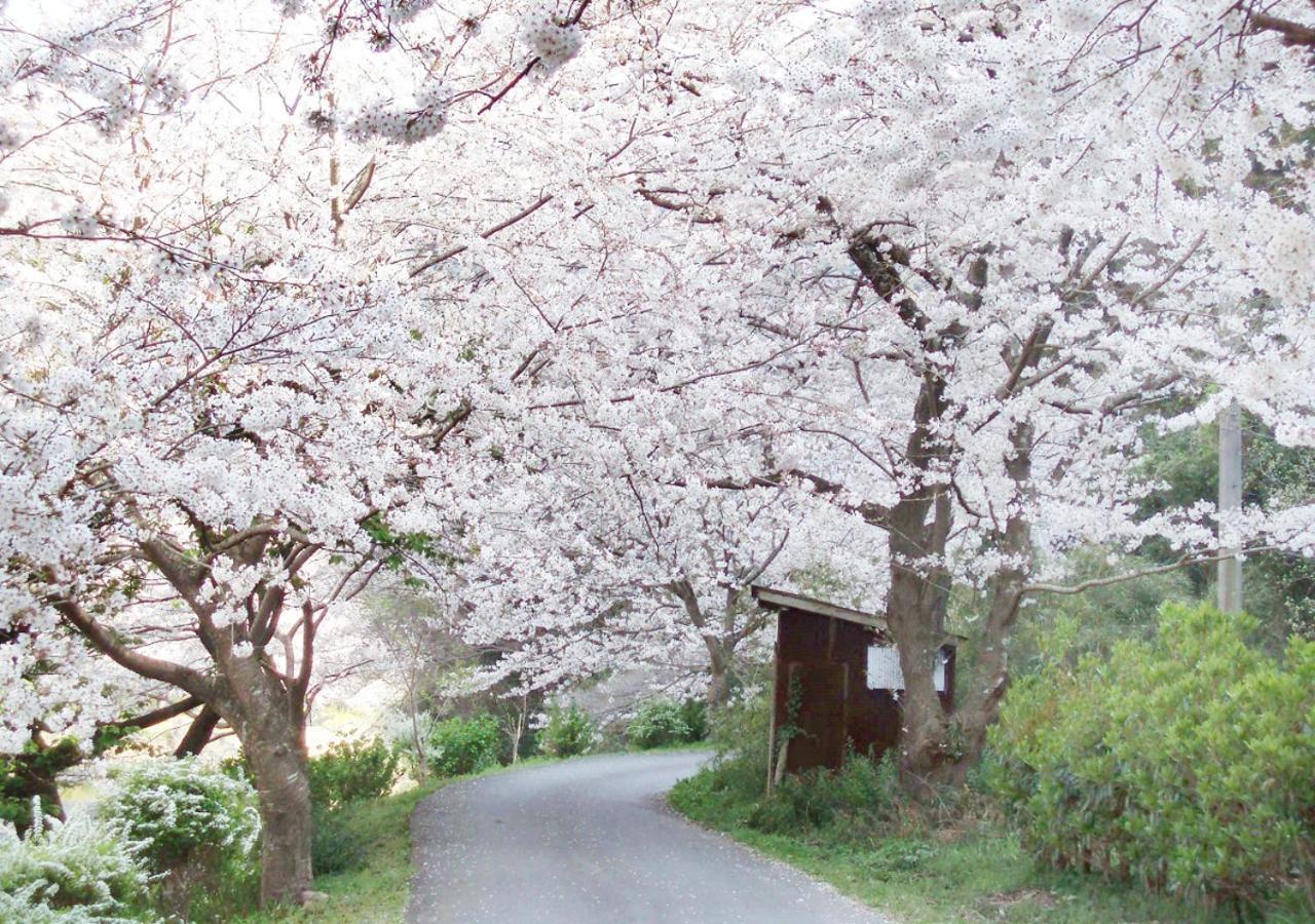 Nishiizu Matsuzaki Itoen Hotel Eksteriør billede