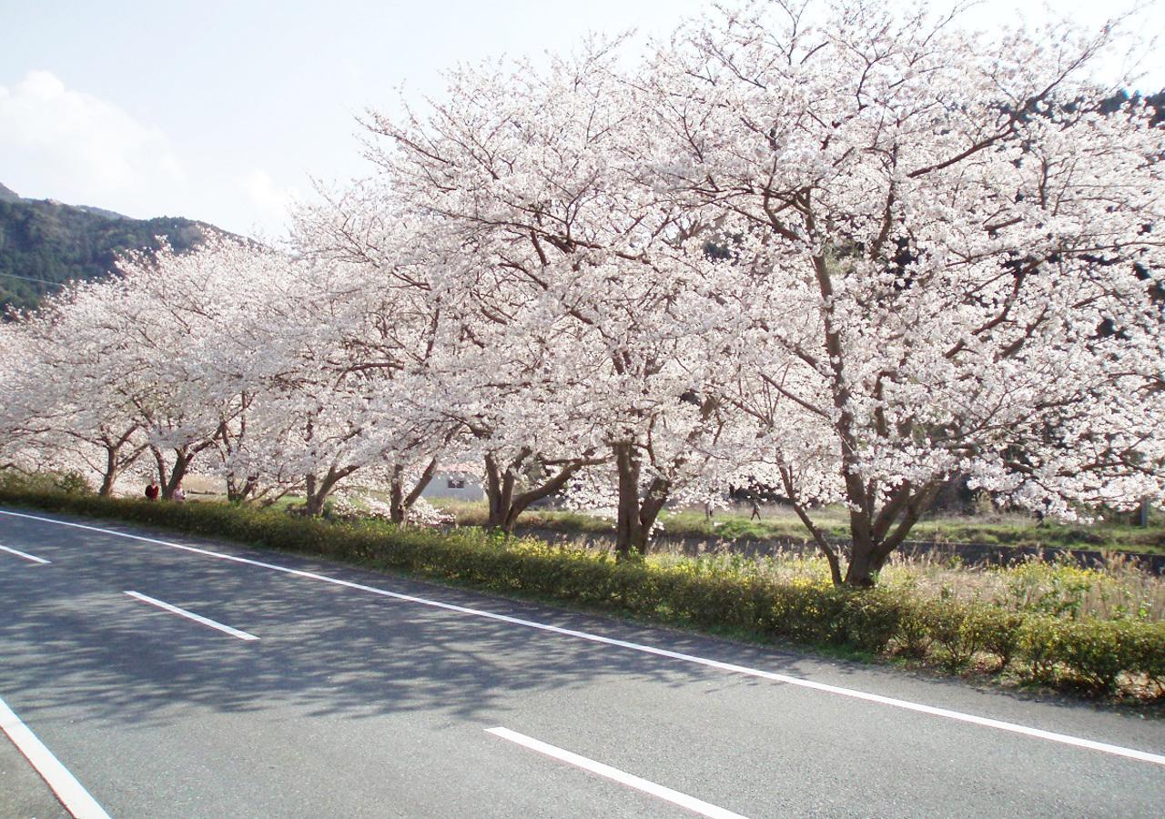 Nishiizu Matsuzaki Itoen Hotel Eksteriør billede